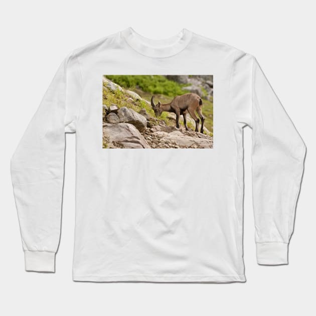 Ibex Long Sleeve T-Shirt by jaydee1400